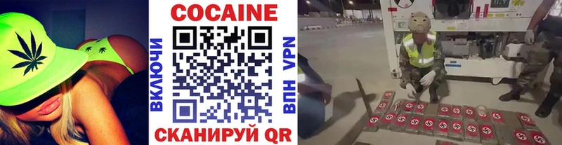 Купить закладки  Сясьстрой  КОКАИН Fish Scale 