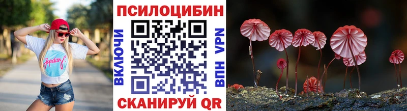 Купить где  Сясьстрой  Псилоцибиновые грибы Psilocybe 