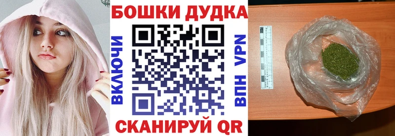 Купить  Сясьстрой  Канабис Amnesia 